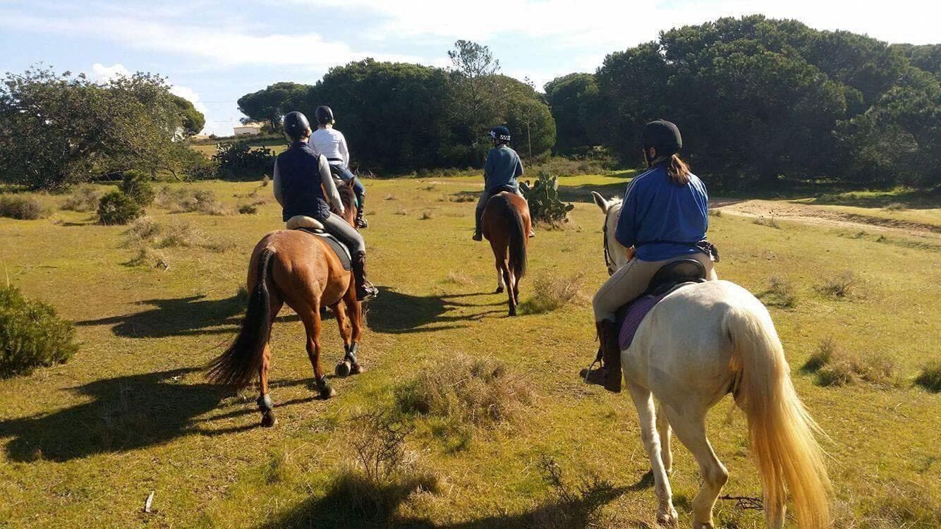 Horse riding in the Algarve