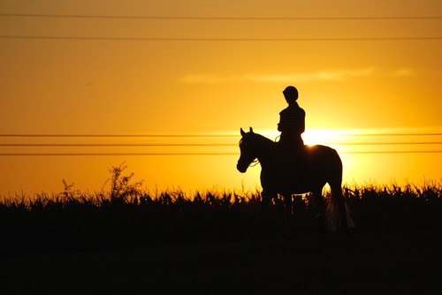 Algarve horse riding