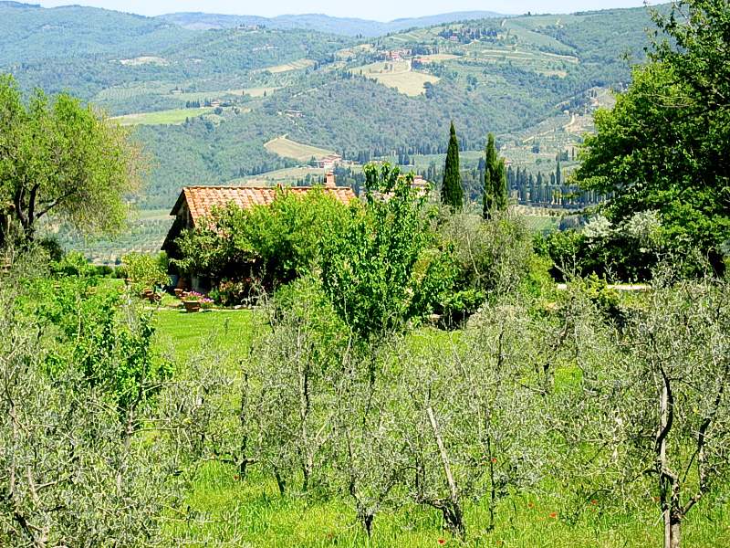 Casa Montagliari, 3 bedroom villa in Chianti & Countryside, Tuscany Photo #18