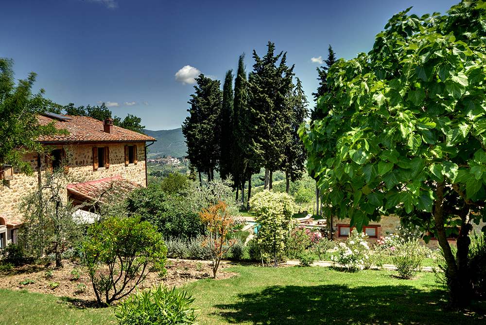 Villa Santa Teresa, 2 bedroom villa in Chianti & Countryside, Tuscany Photo #12