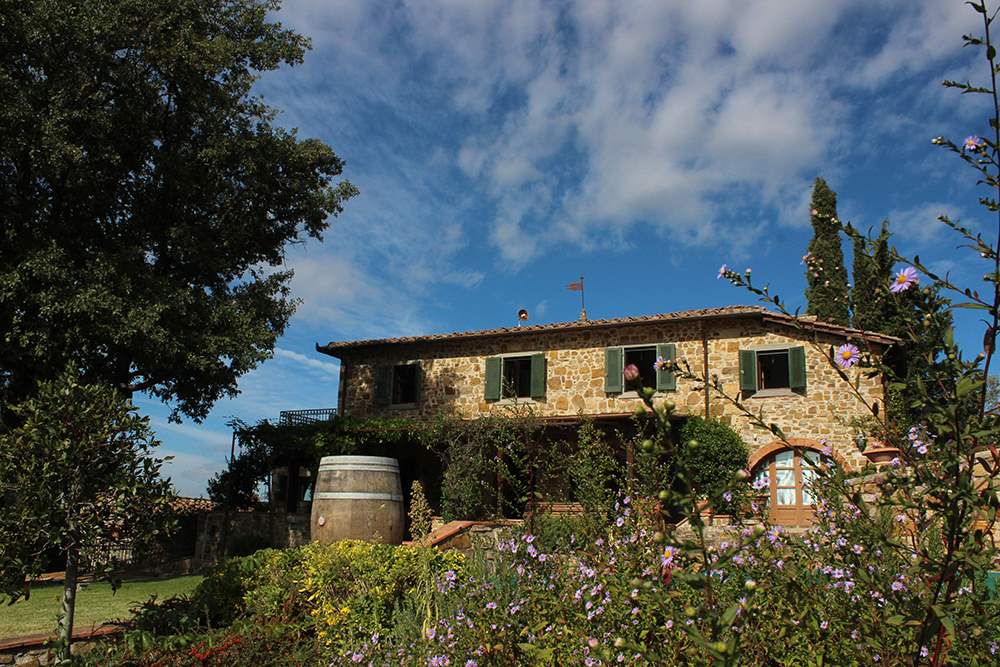 Villa Martino, 4 bedroom villa in Chianti & Countryside, Tuscany Photo #14