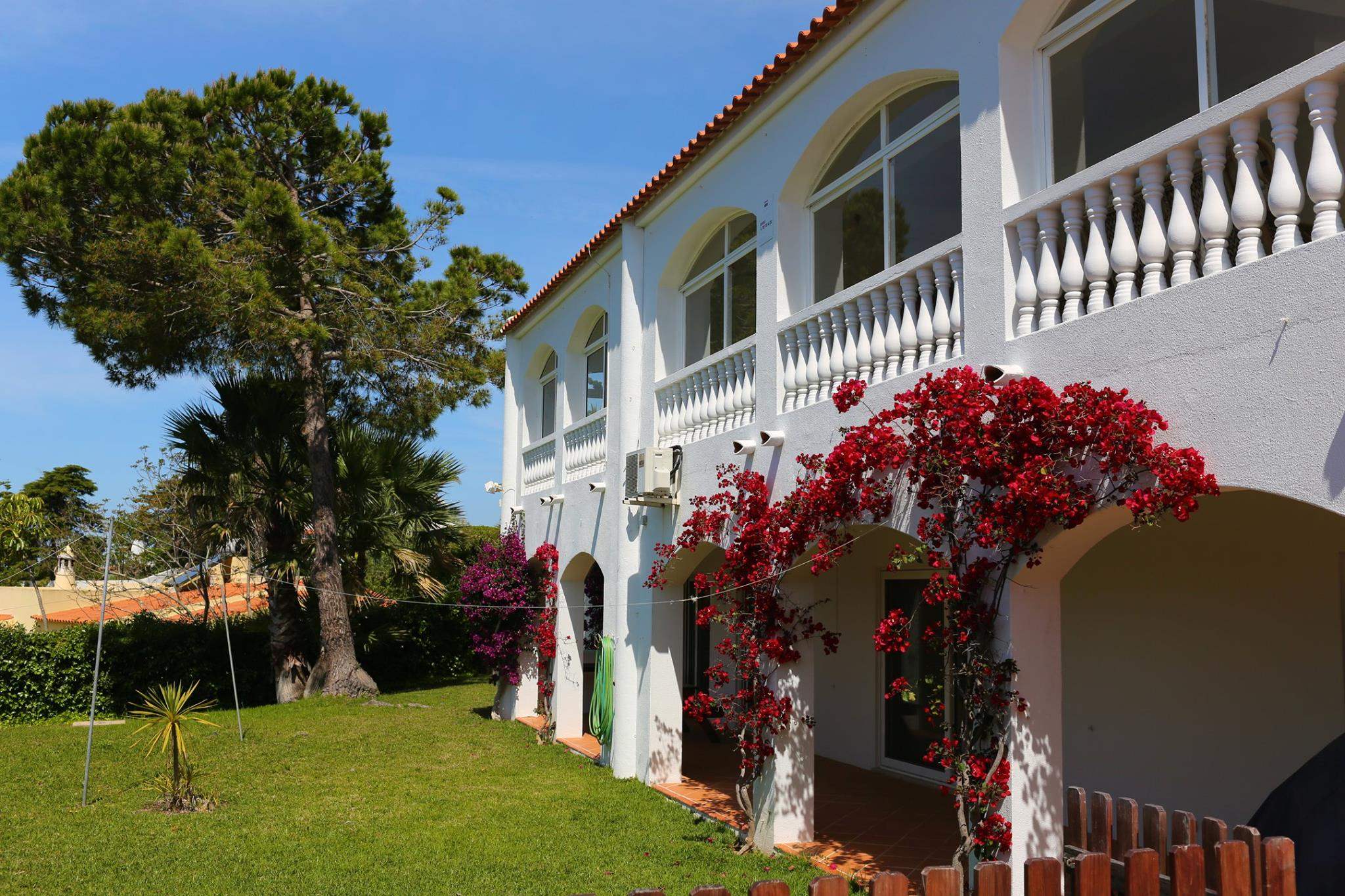Casa Carioca, 6 bedroom villa in Carvoeiro Area, Algarve Photo #2