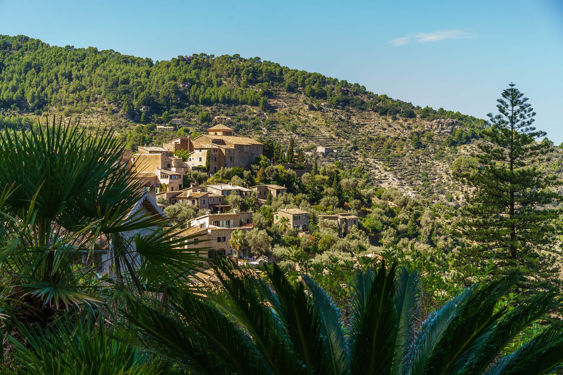Sa Tanca, 4 Bedroom Rental, 4 bedroom villa in Soller & Deia, Majorca Photo #34