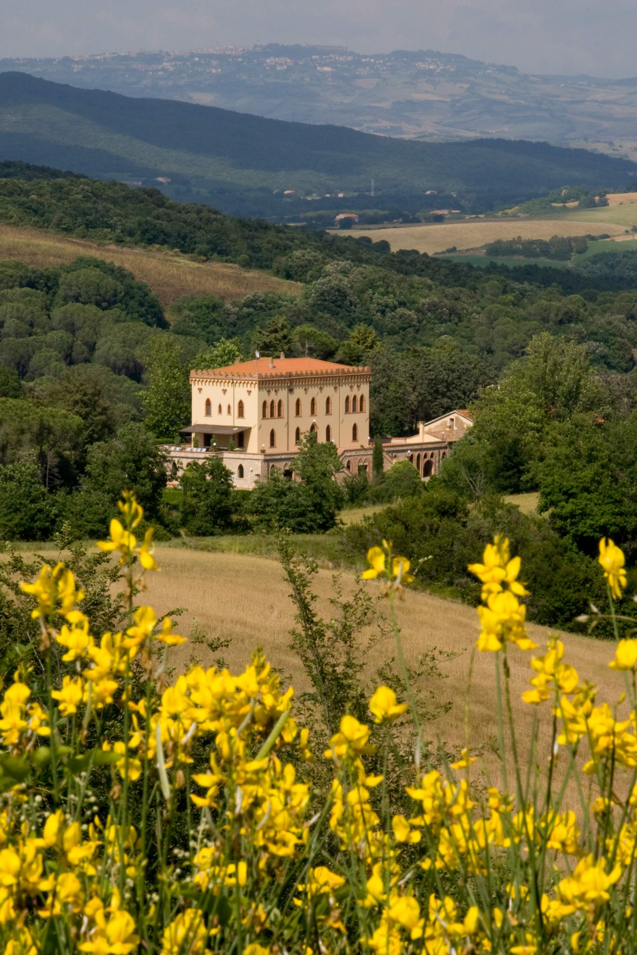 Villa Di Archi, 8 bedroom villa in Tuscany Coast, Tuscany Photo #32