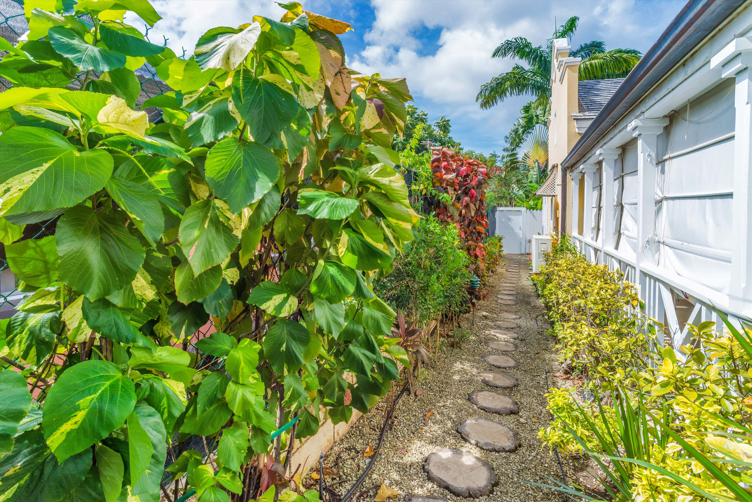 Porters Court 3, 1 bedroom, 1 bedroom villa in St. James & West Coast, Barbados Photo #13