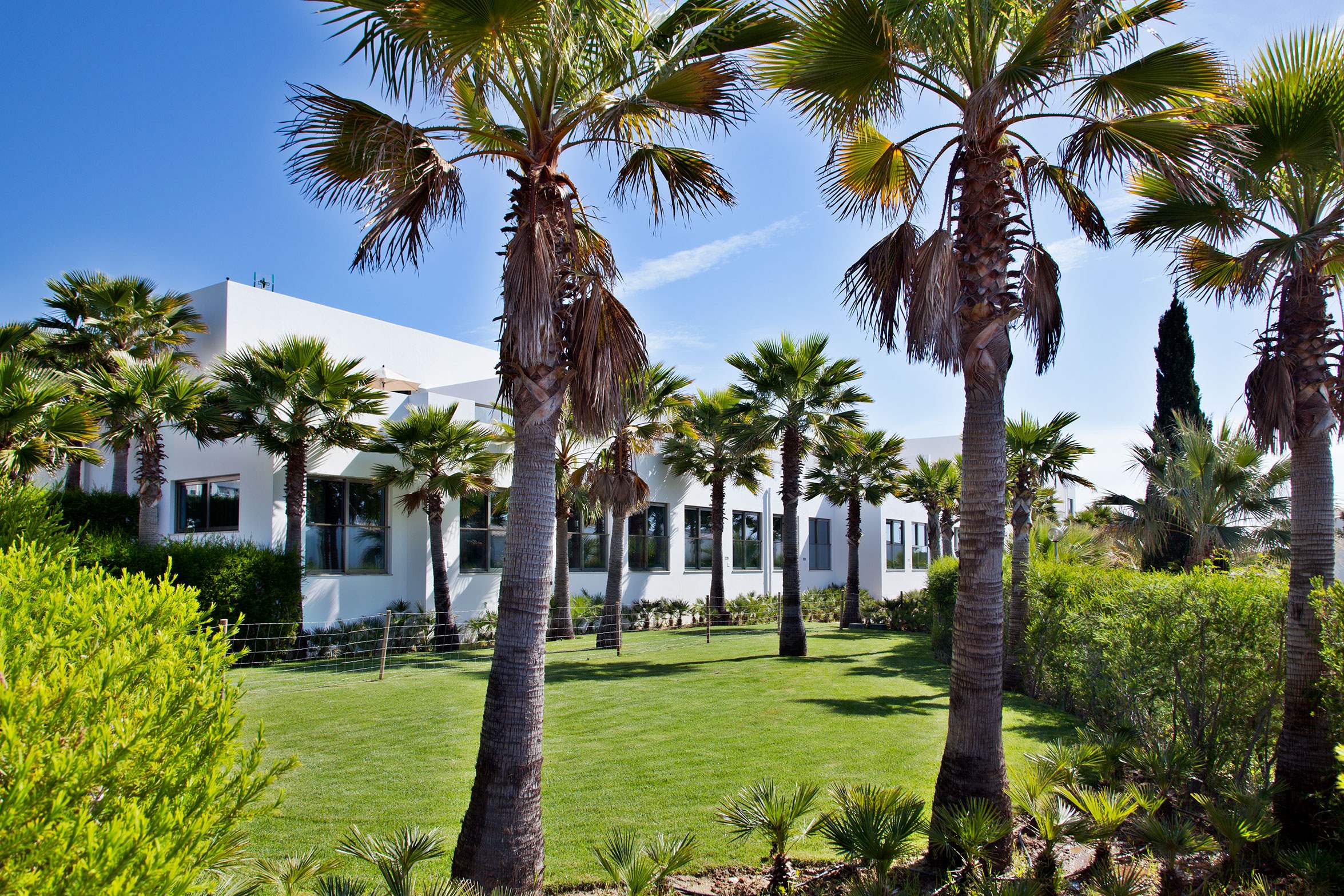 Sao Rafael Palm Villa Plus , 3 bedroom villa in Albufeira Area, Algarve Photo #9